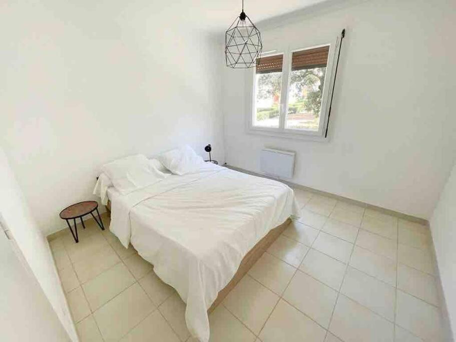 Appartement Spacieux Avec Parking Gratuit Sète Exteriör bild